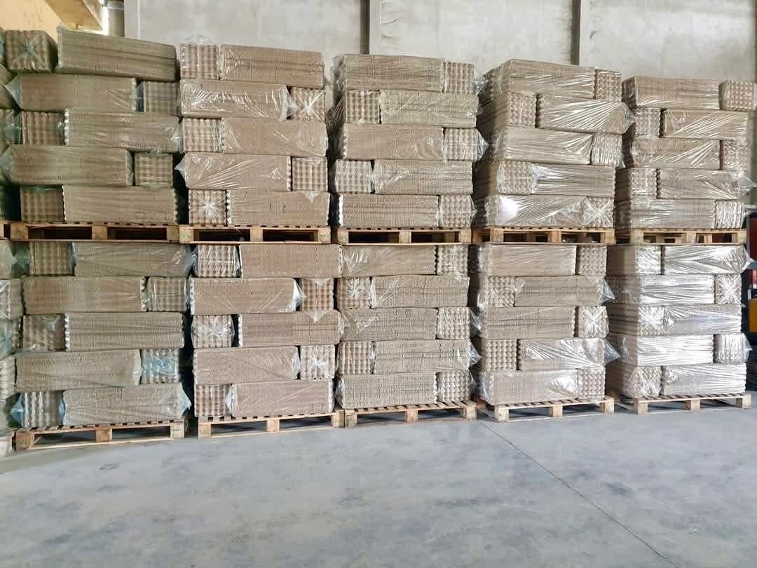 The Harbour Green team working together