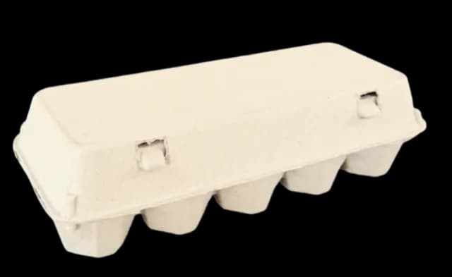 10 egg carton standard size